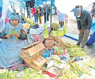 Pese al Covid, feligreses en AL acuden a los templos