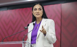 Morena recula y anuncia que hará públicas encuestas para definir coordinadores; “las daremos a conocer detalladamente”, dice