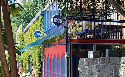 Andy creó nueva empresa como número 2 de Morena