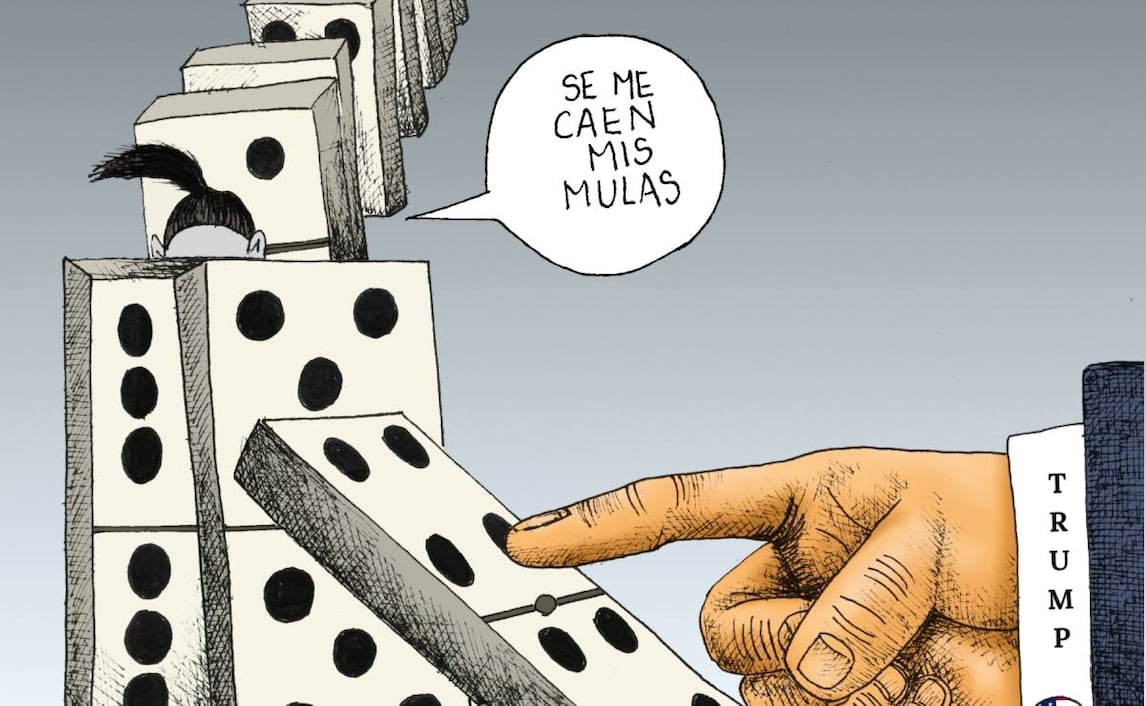 Cartón de KEMCHS