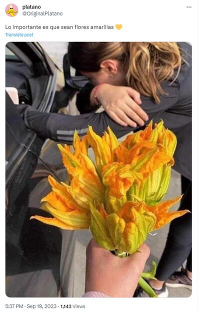 Meme flores amarillas. Foto: Redes Sociales