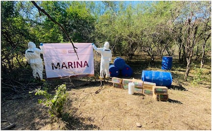 Marina destruye laboratorio clandestino en Sinaloa; asegura precursores químicos para elaboración de drogas sintéticas