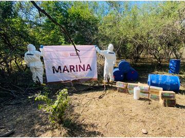 Marina destruye laboratorio clandestino en Sinaloa; asegura precursores químicos para elaboración de drogas sintéticas