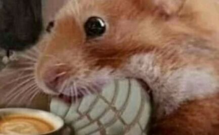 Los documentos de Epstein y el desdén de Richard Hart al pan mexicano: memes de la semana