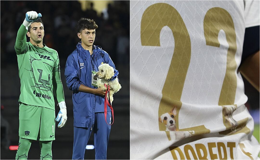 Perritos visitaron el Olímpico de CU -Foto: Carlos Mejía/ EL UNIVERSAL