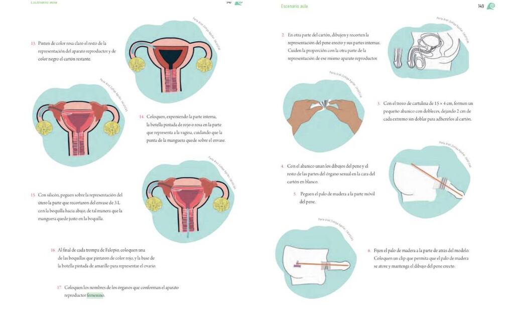 Modelos de los aparatos reproductivos masculino y femenino/ Captura de pantalla