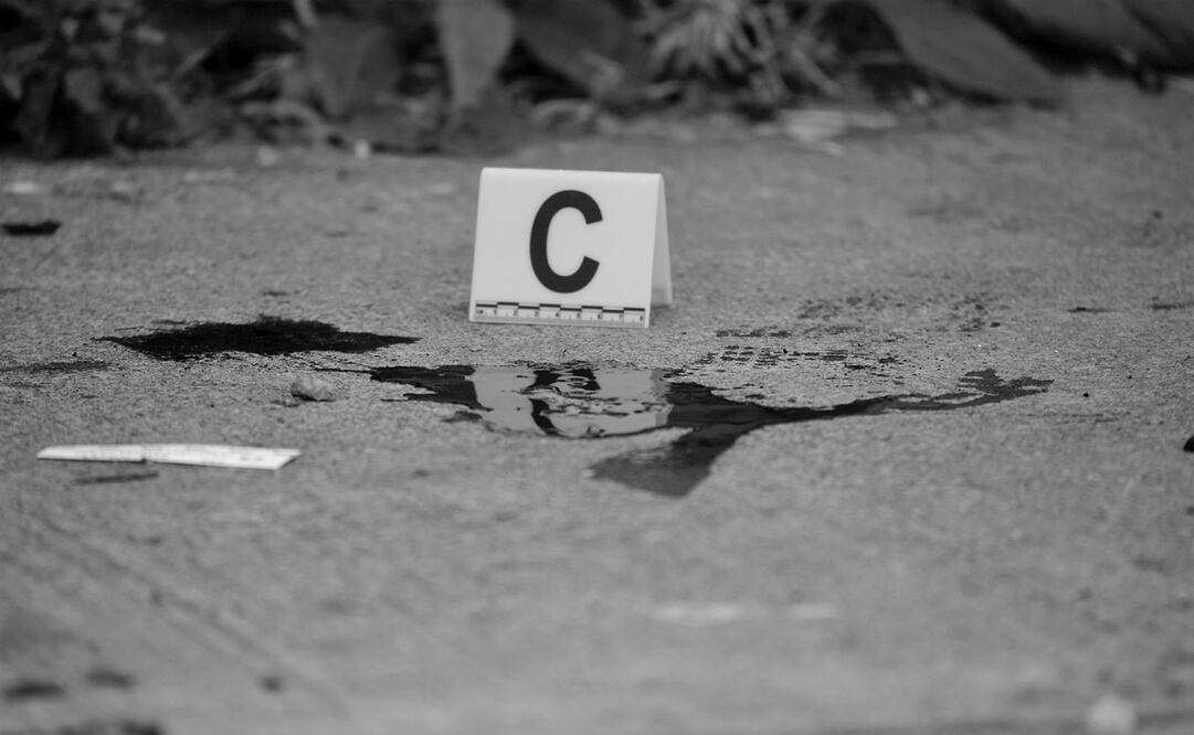 Foto: Archivo / EL UNIVERSAL