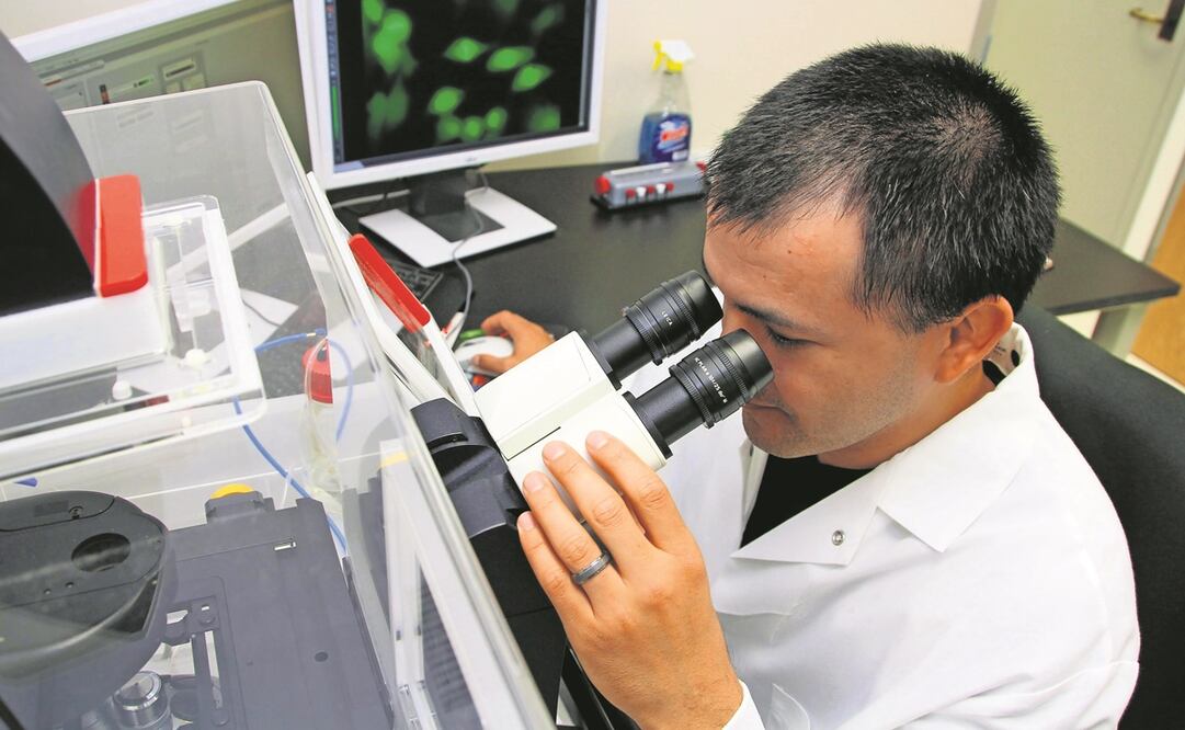 En los foros anteriores, los participantes “han insistido en la importancia de establecer un horizonte de certeza en el financiamiento de la ciencia a largo plazo”. Foto: Archivo / EL UNIVERSAL