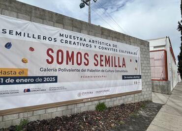 Desmantelan programa cultural insignia de la pasada administración