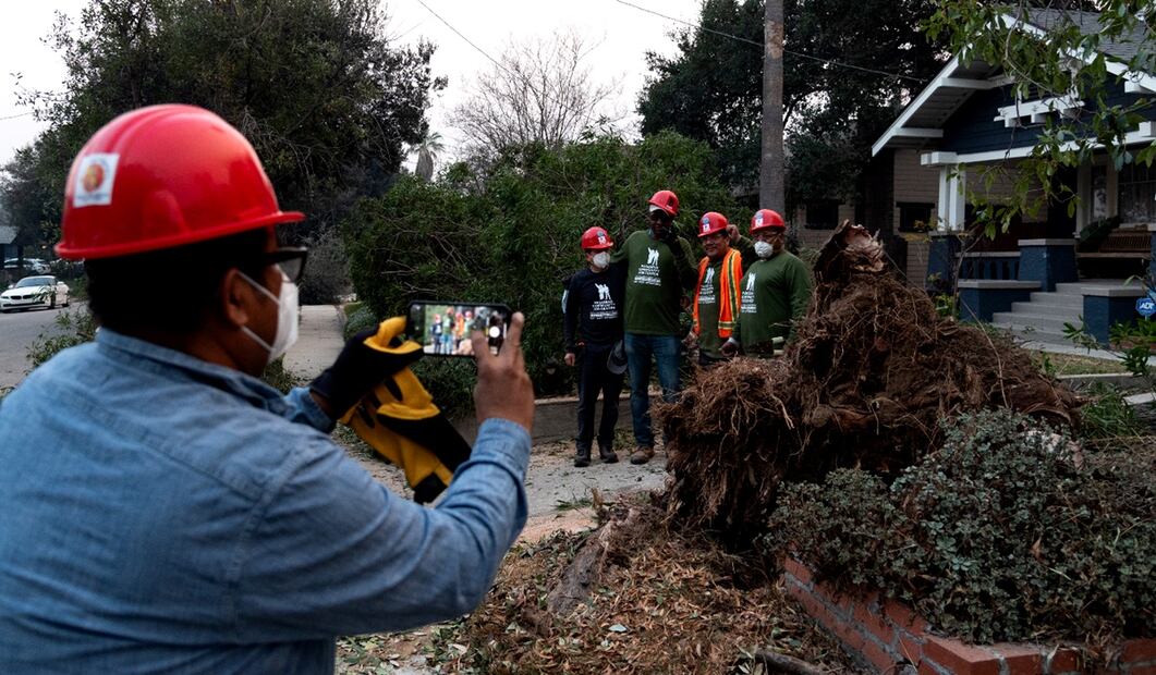 Migrantes se unieron voluntariamente en varias brigadas para remover árboles caídos y escombros en las zonas afectadas por los fuertes vientos y los mortales incendios en Los Ángeles. Foto: EFE