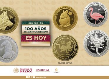 Monedas del Zoológico de Chapultepec provocan largas filas; ¿quieres una?