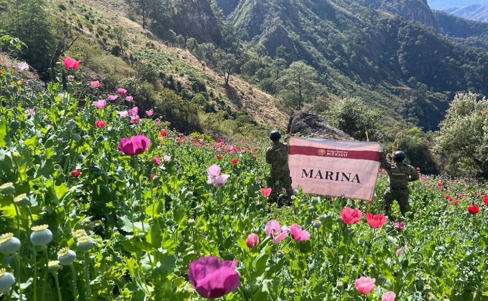 En dos meses Semar asegura 10 toneladas de cocaína en el mar y rescata a 30 personas. Febrero de 2026. Foto: Especial.