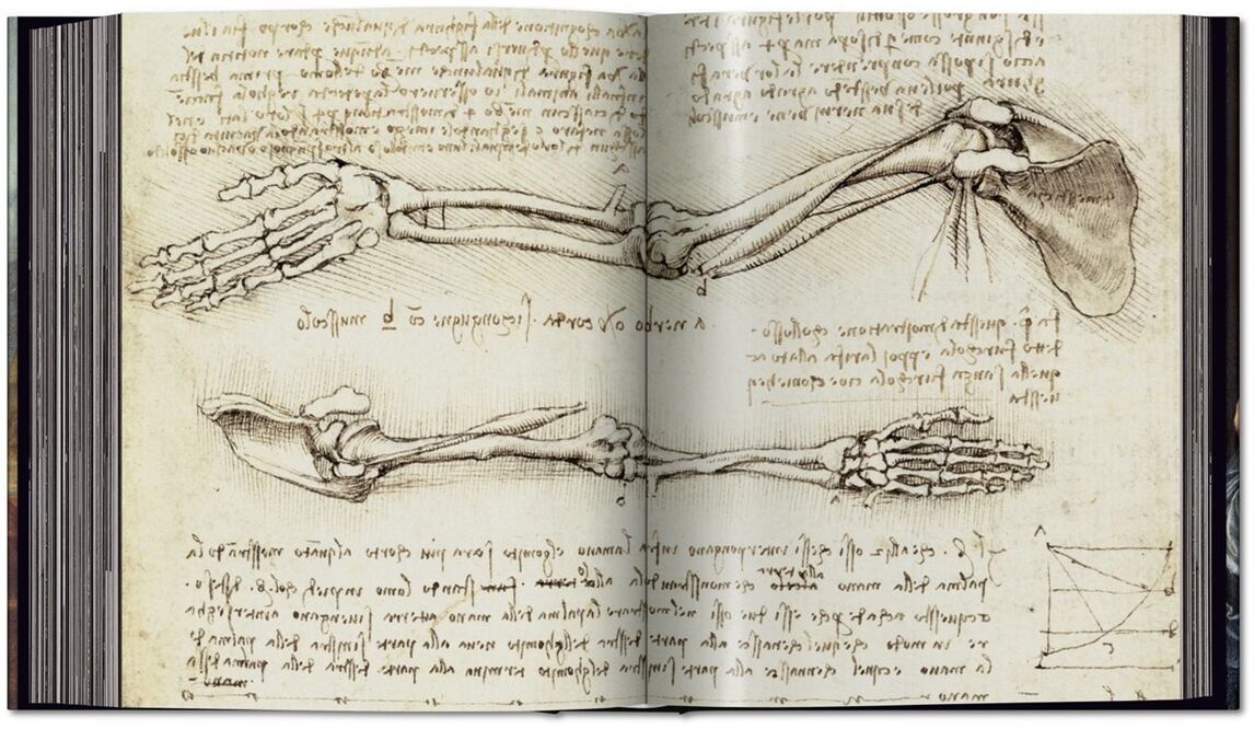 El libro presenta un amplio catálogo con casi 700 dibujos de Leonardo. Foto: Editorial Taschen