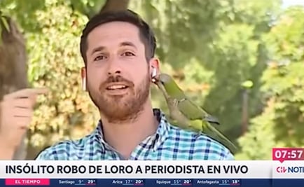 ¡Se robó mi audífono!: 'Asaltan' a periodista en plena transmisión en vivo y se hace viral