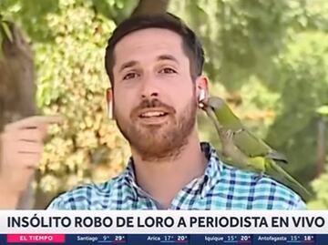 ¡Se robó mi audífono!: 'Asaltan' a periodista en plena transmisión en vivo y se hace viral