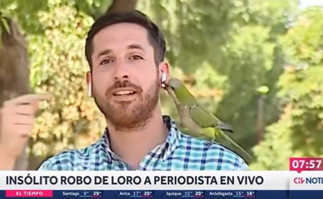 Foto: Tomada del video