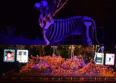 Iluminando Almas, recorrido nocturno en el Bosque de Chapultepec