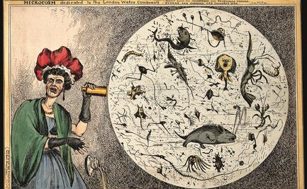 Crónicas de la peste que nos tocó vivir