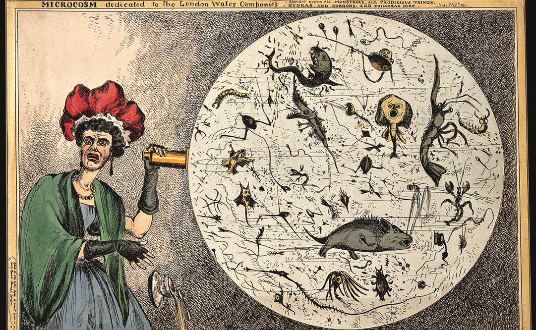 Foto: Grabado de William Heath, titulado Monster Soup, 1828.