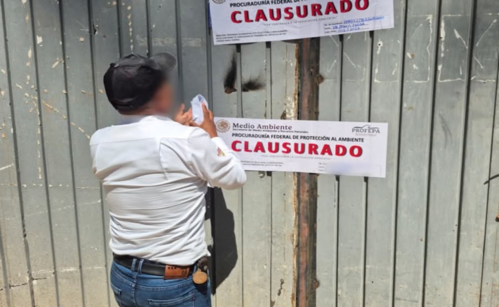 Profepa clausura predios en Edomex por daño ambiental. Foto: Especial