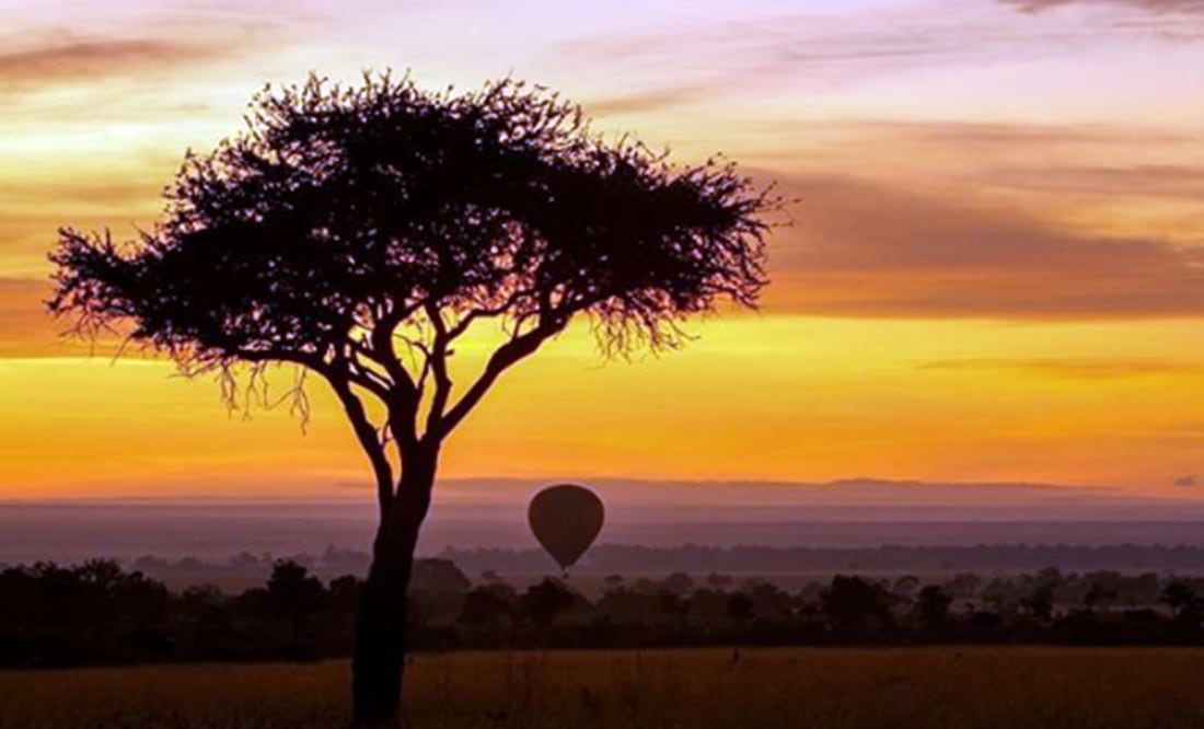 Observa los animales en su hábitat natural pero de manera virtual / Foto: &Beyond