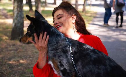 Clara Brugada propone trabajar en una agenda de derechos para el bienestar de los animales