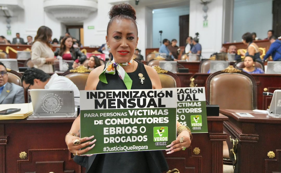 La diputada local del PVEM Rebeca Peralta presentó una iniciativa para que los conductores ebrios o drogados que provoquen la muerte de una persona otorguen pensión mensual a las hijas e hijos de sus víctimas. | Foto: Especial.