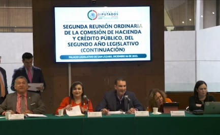 Avanza en Comisión de Hacienda de San Lázaro reforma para restaurar figura de agente aduanal sustituto