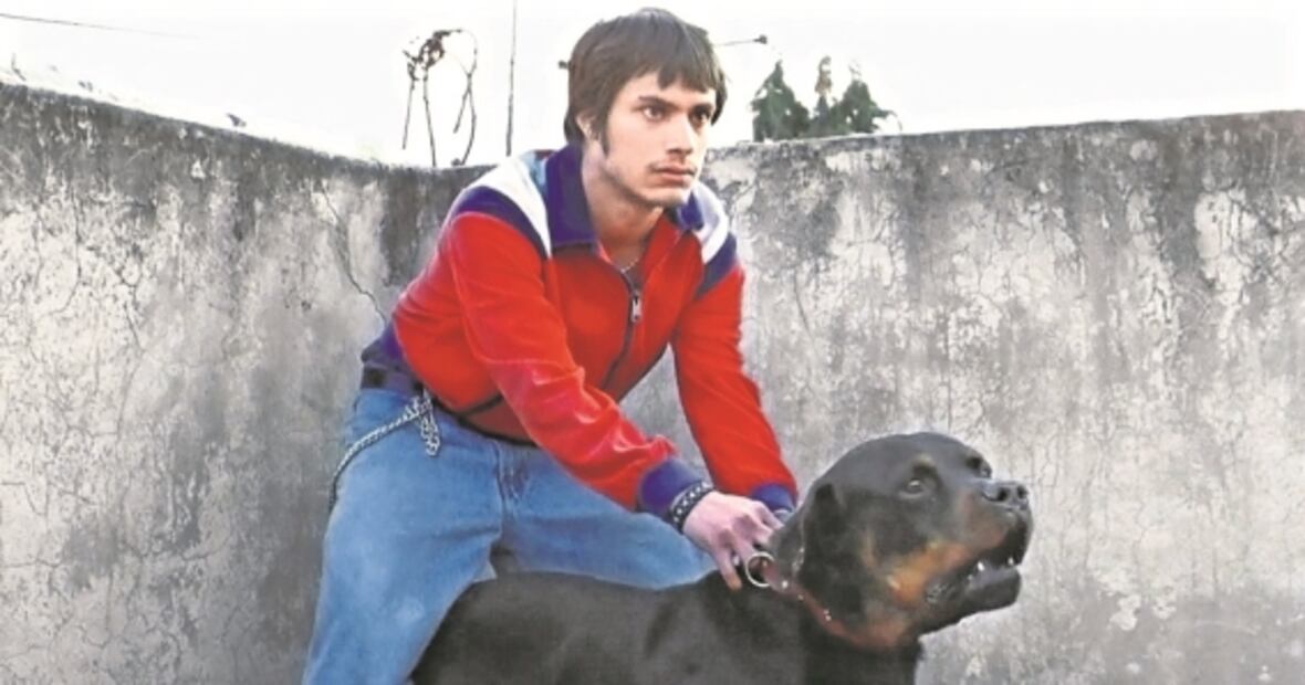 El tiempo se apiada del nuevo cine mexicano