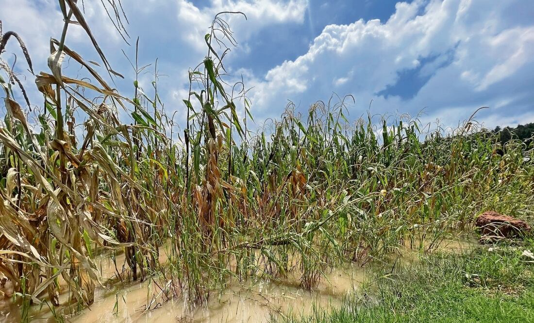 El nivel del agua alcanzó en algunos puntos más de 1.80 metros, dijo el comisariado. Foto: Michelle Baños / EL UNIVERSAL