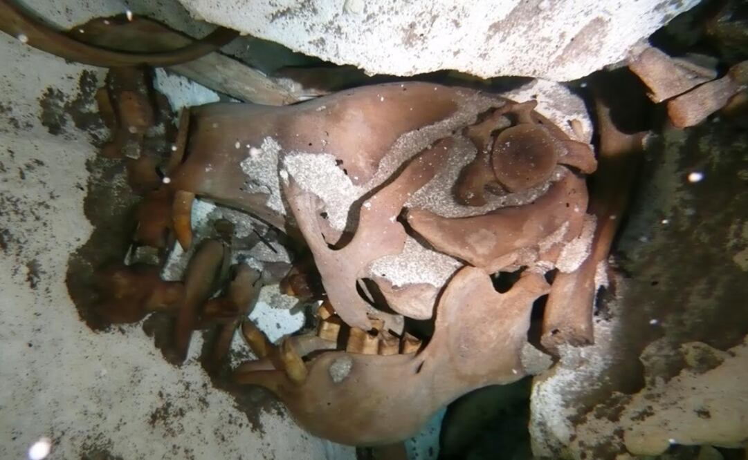 Foto: Cortesía INAH