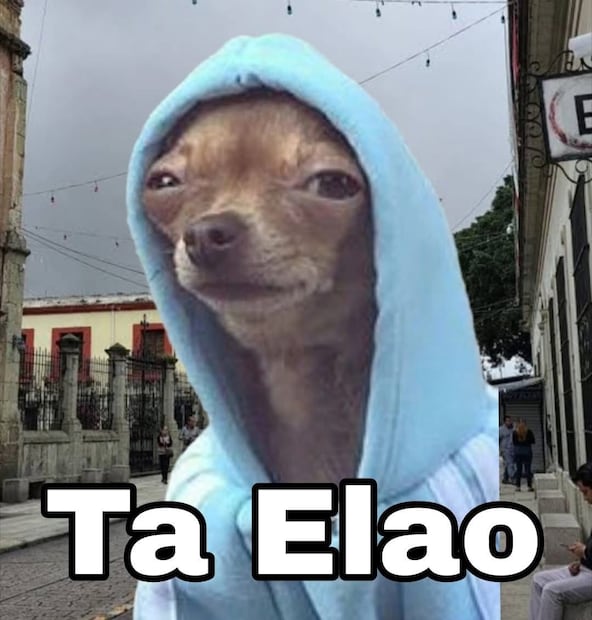 Los mejores memes que dejó el Frente Frío 29. Foto: Redes sociales