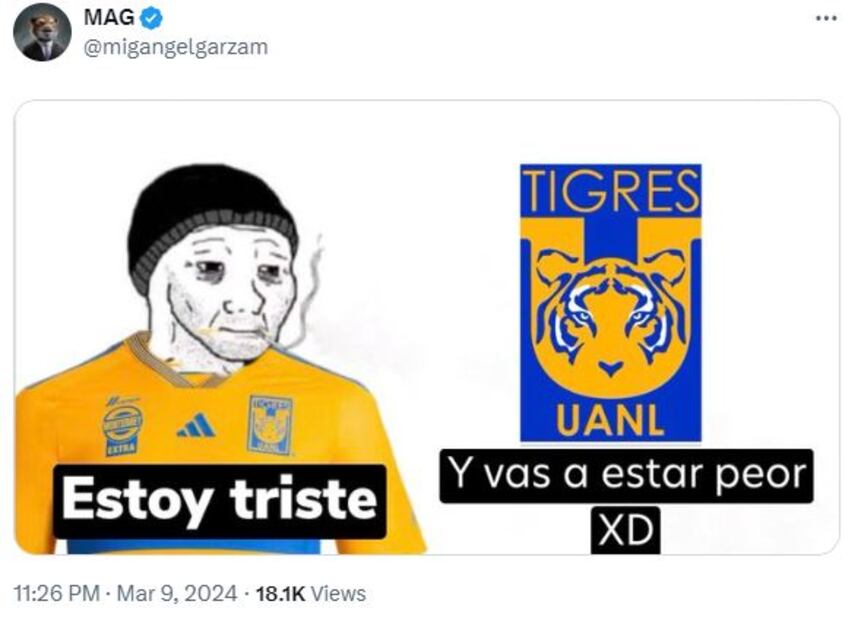 Los mejores MEMES del partido entre América y Tigres - Foto: Especial