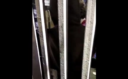 Encapuchados cierran la Facultad de Filosofía y Letras de la UNAM