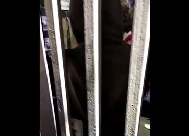 Encapuchados cierran la Facultad de Filosofía y Letras de la UNAM