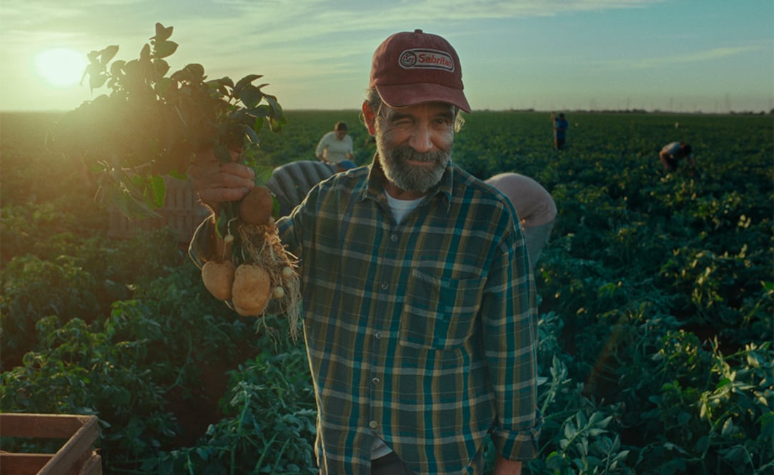 Foto: Sabritas México