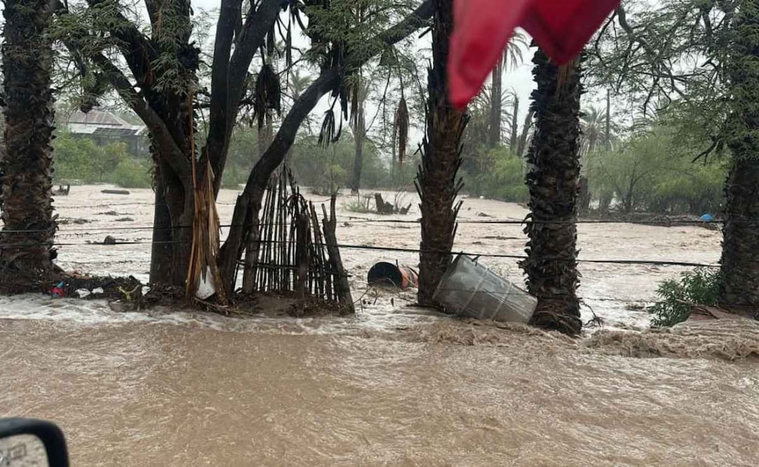 Tormenta tropical "Mario" causa inundaciones en San Ignacio, Baja California Sur (15/09/2025). Foto: Especial