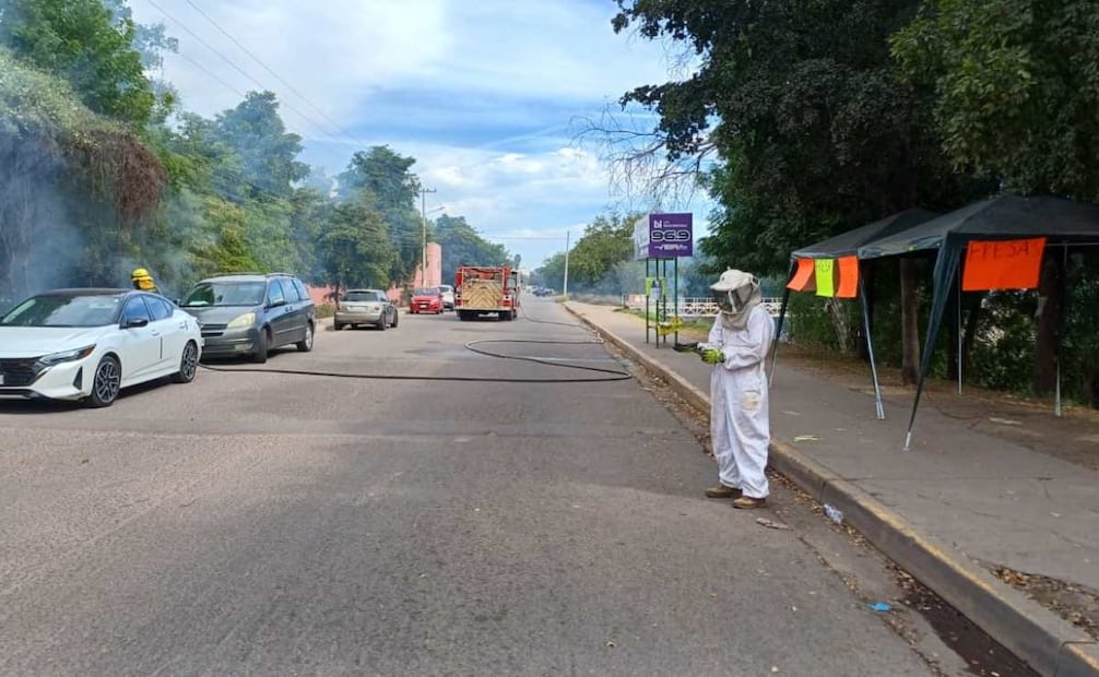 Abejas atacan a estudiantes de medicina en Sinaloa (12/02/2026). Foto: Especial
