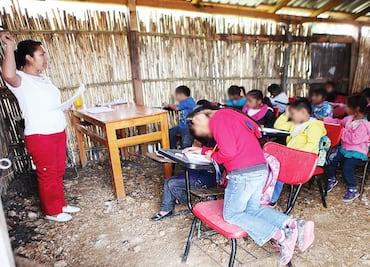 Beyond the education reform