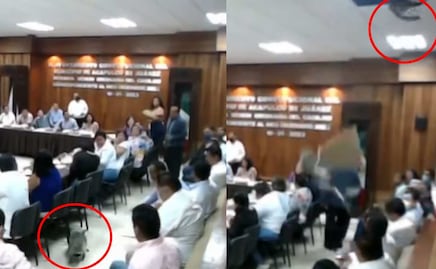 VIDEO: En plena sesión, "llueven" mapaches en salón de cabildos en Acapulco, Guerrero