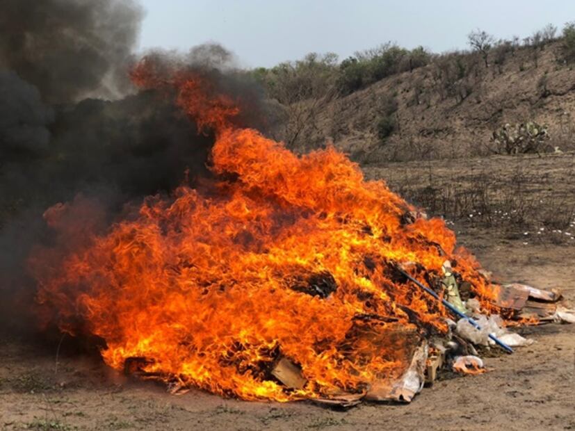 Incineran casi 300 kilos de drogas en Veracruz