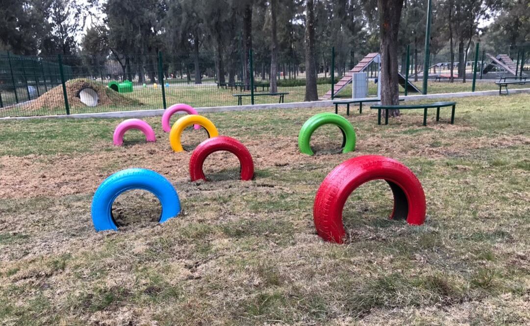 Inaugurarán parque para perritos en Bosque de Aragón