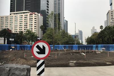 Cercas del nuevo ahuehuete de Reforma permanecerán hasta 2024: Sedema