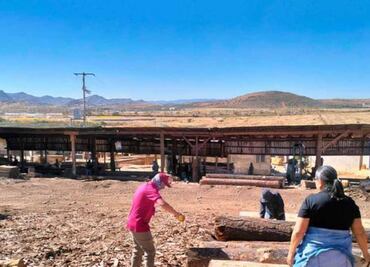 Profepa clausura 11 aserraderos clandestinos en 13 estados; también aseguró maquinarias de aserrío