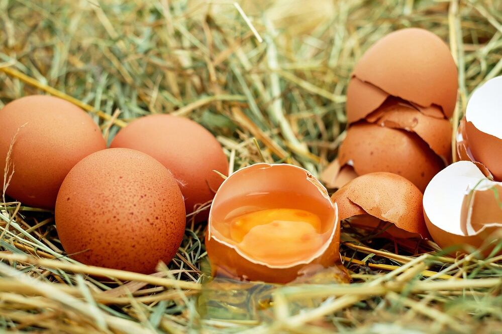 Consumir huevos ayuda a mantener la salud del organismo. Foto: Pixabay
