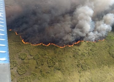 Incendios consumen más de dos mil hectáreas en área natural protegida de Q.Roo