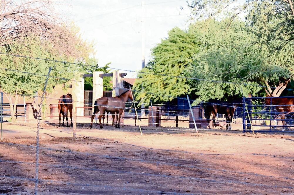 Entre los ilícitos de los que se acusa a Padrés destaca las instalación de una toma clandestina de agua en su rancho La Finca, ubicado en Hermosillo (ARCHIVO. EL UNIVERSAL)