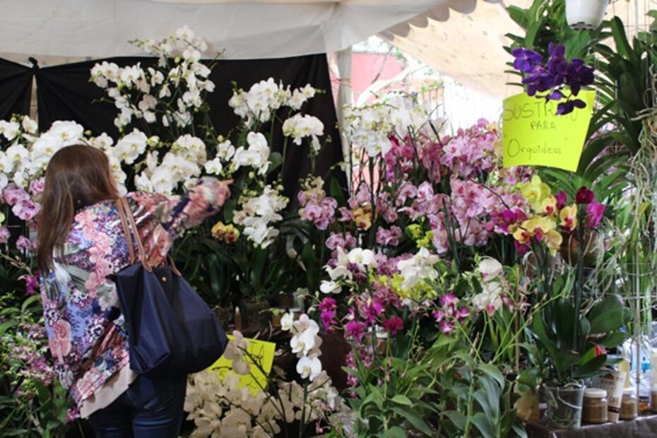 Ya casi comienza la Feria de las flores en San Ángel
