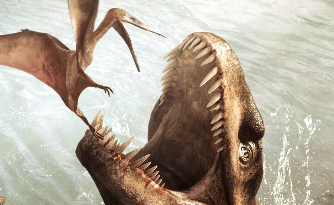 Dinosaurio carnívoro y cola de pez. Foto: EFE