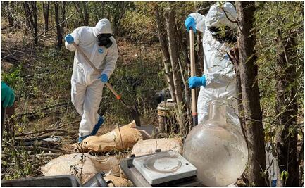 Marina incauta más de 45 toneladas de drogas en 2 meses; causa daño económico de 18 mil mdp a grupos criminales